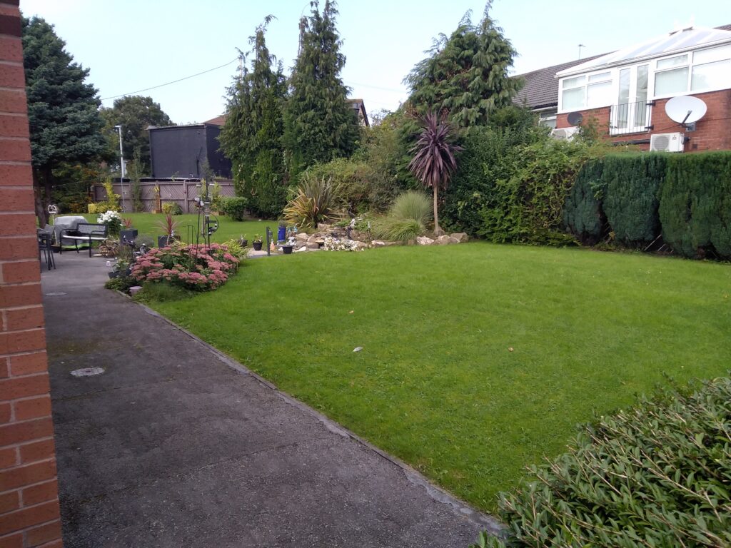 Edward Street back garden lawn